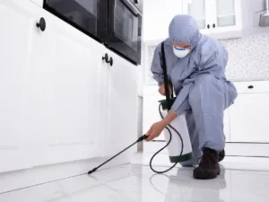 Dedetizador, dedetização